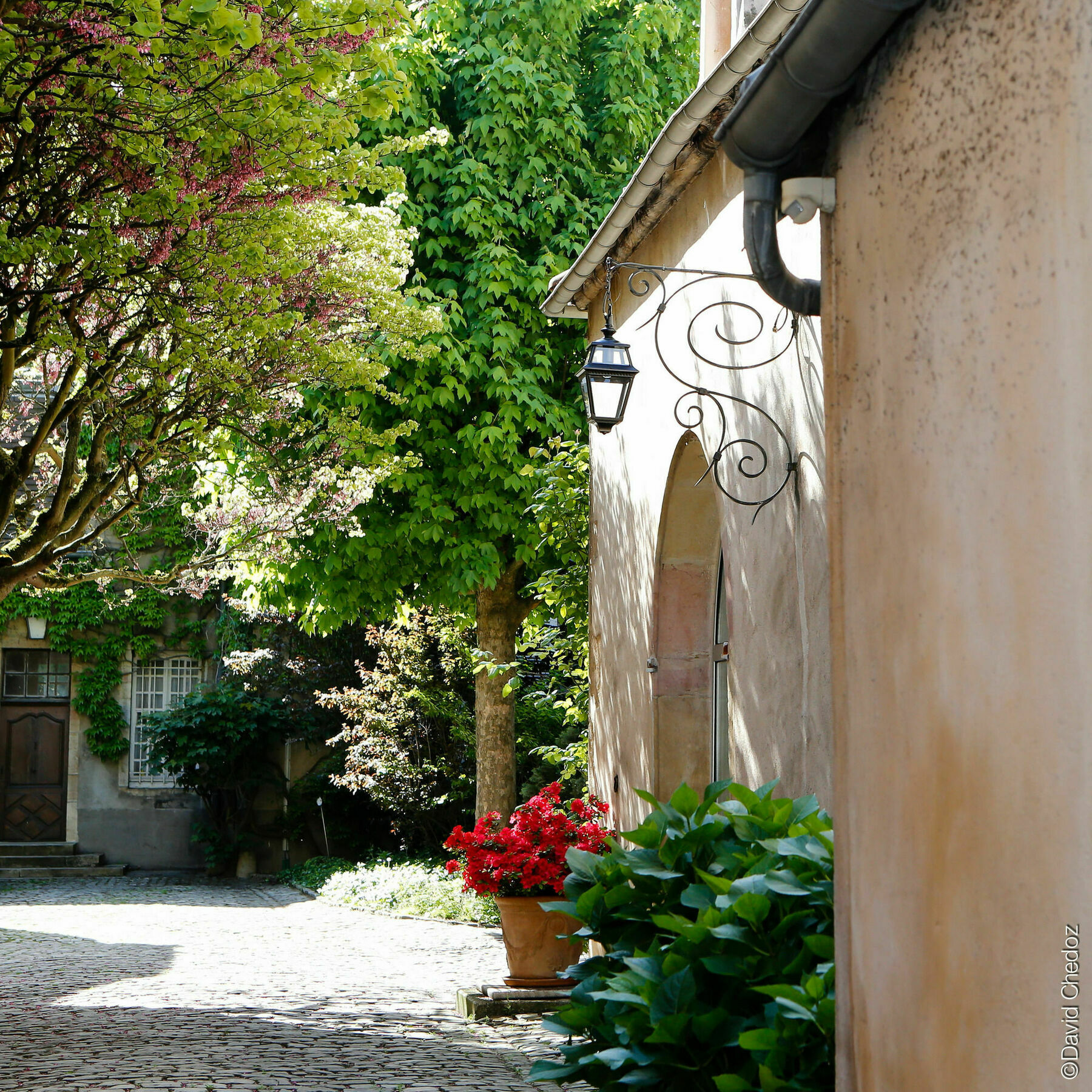 La Cour Berbisey - Teritoria Hotel Dijon Exterior foto